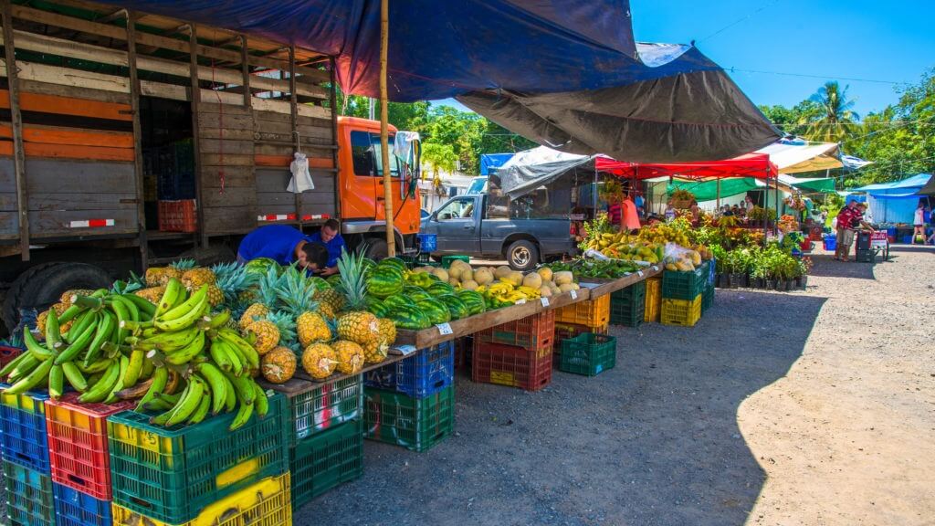 Bauernmarkt Obst- und Gemüsestand